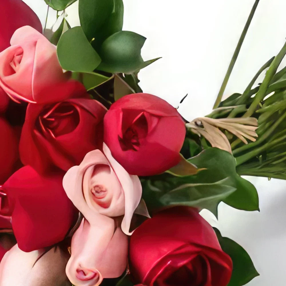 fleuriste fleurs de Salvador- Bouquet de 32 roses à deux couleurs Bouquet/Arrangement floral