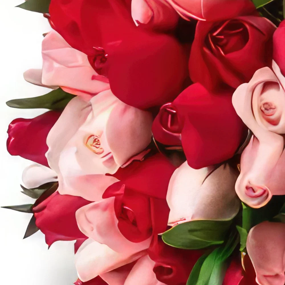 Belém bunga- Bouquet daripada 32 Dua Warna Mawar Sejambak/gubahan bunga