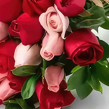 Santa Maria flowers  -  Bouquet of 32 Two-Color Roses Flower Bouquet/Arrangement