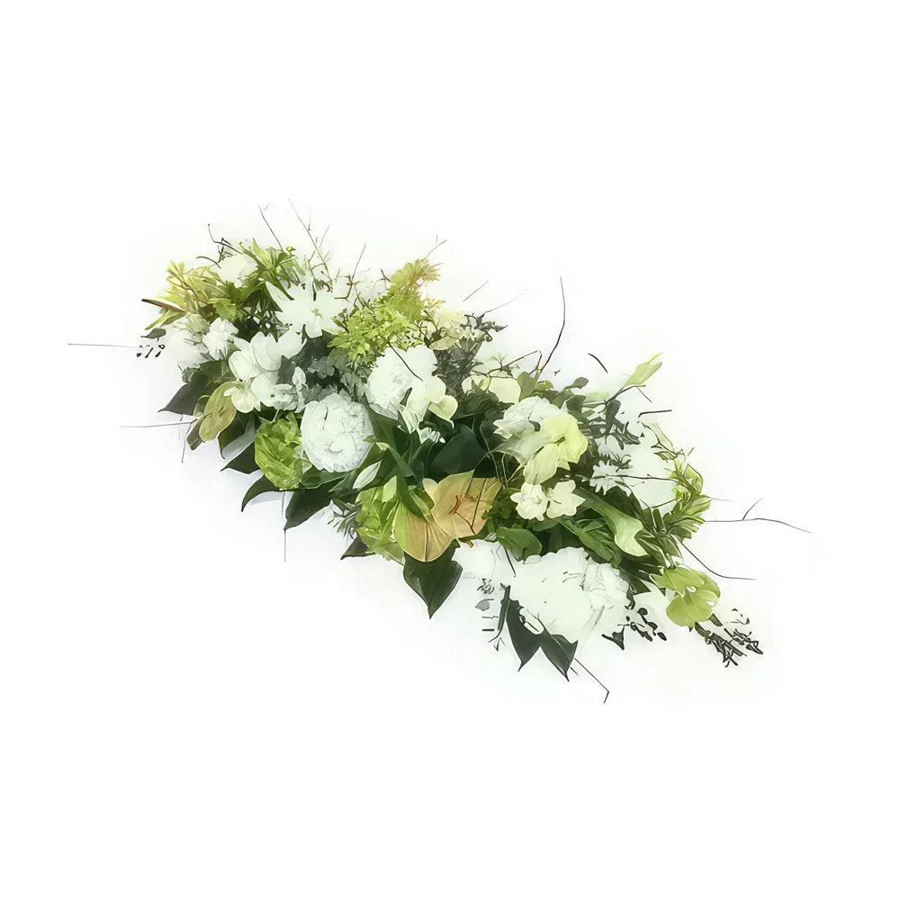 flores Montpellier floristeria -  Tapa de ataúd blanca y verde Ulises Ramo de flores/arreglo floral