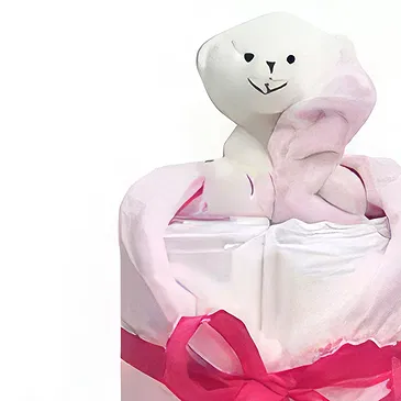 Erdokertes flowers  -  Babies Surprise Flower Bouquet/Arrangement