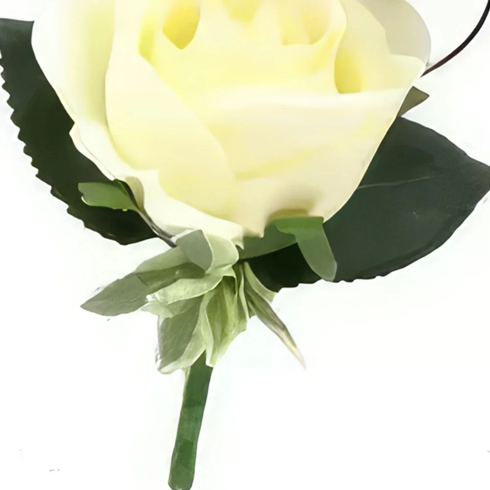 fleuriste fleurs de Tenerife- Double boutonnière Rose Bouquet/Arrangement floral