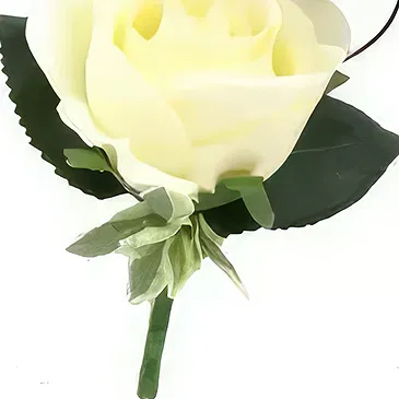 Cabo Balanco blommor- Double Rose knapphål Bukett/blomsterarrangemang