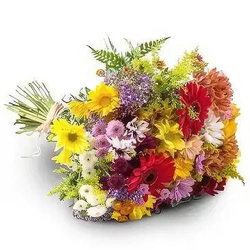 Santa Maria flowers  -  Campo Grande Flowers Bouquet Flower Bouquet/Arrangement