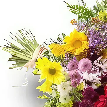 Santa Maria flowers  -  Campo Grande Flowers Bouquet Flower Bouquet/Arrangement
