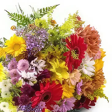 Santa Maria flowers  -  Campo Grande Flowers Bouquet Flower Bouquet/Arrangement