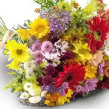 Santa Maria flowers  -  Campo Grande Flowers Bouquet Flower Bouquet/Arrangement