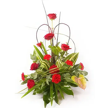 Antias flowers  -  Classic and Lovely Flower Delivery