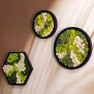 Alle anderen Städte Blumen Florist- Grüne Gelassenheit Bouquet/Blumenschmuck