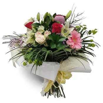 flores de Zaragoza- Quintal de Pétalas Flor Entrega