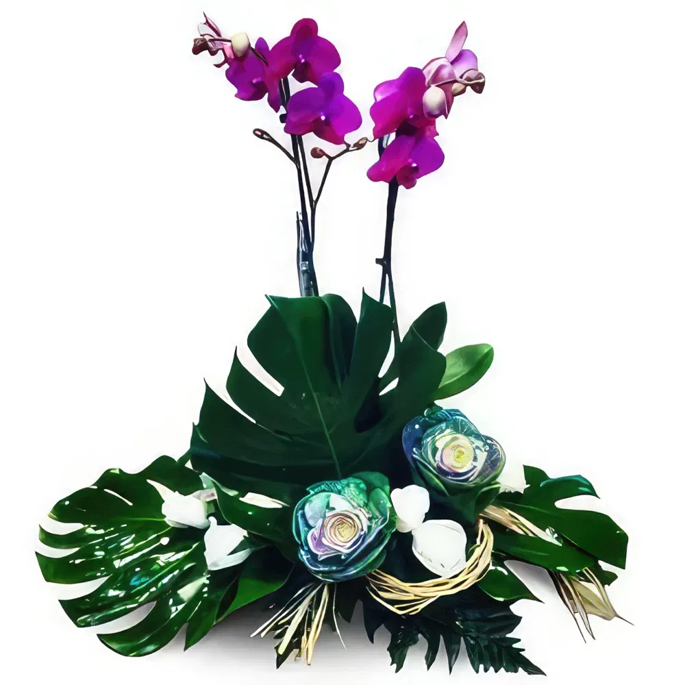 Mallorca flowers  -  Sweet Combination