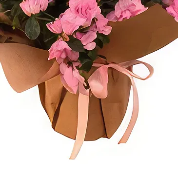 Adma flowers  -  Evoke Emotions Flower Bouquet/Arrangement