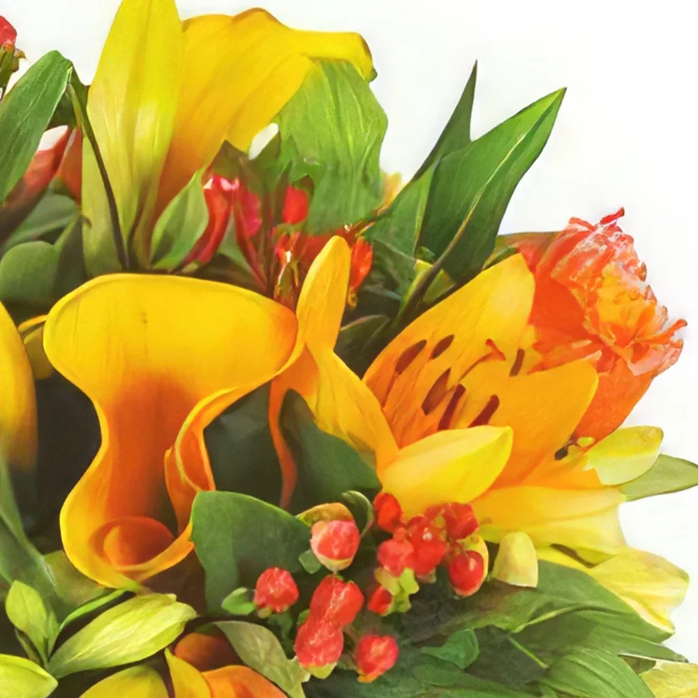flores de Pau- Buquê surpresa da florista de laranja Bouquet/arranjo de flor