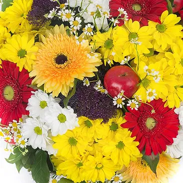 Italy flowers  -  Bouquet of Daisies and Gerberas Flower Bouquet/Arrangement