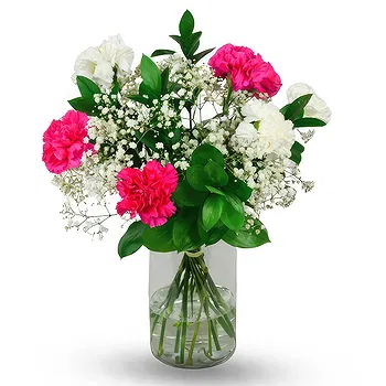 Antias flowers  -  Pink & White Flower Delivery