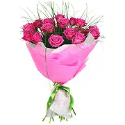 Vietri di Potenza online Florist - Fuchsia Roses Bouquet Bouquet