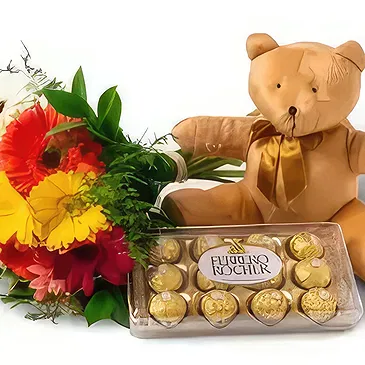 Belo Horizonte Blumen Florist- 12 Gerberas, Pralinen und Teddybär Bouquet/Blumenschmuck