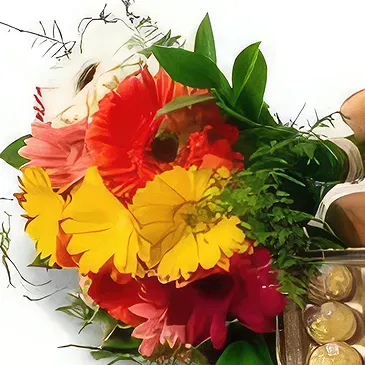 Belo Horizonte Blumen Florist- 12 Gerberas, Pralinen und Teddybär Bouquet/Blumenschmuck