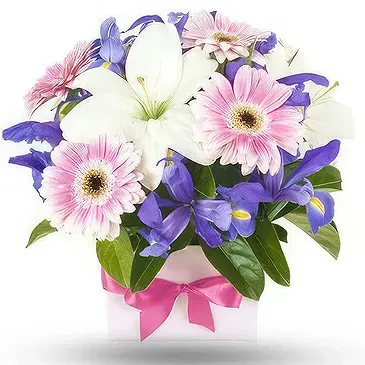 Smederevska Palanka flowers  -  Vibrant Harmony Flower Bouquet/Arrangement