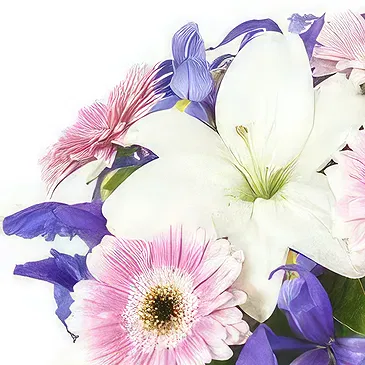 Smederevska Palanka flowers  -  Vibrant Harmony Flower Bouquet/Arrangement