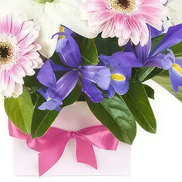 Smederevska Palanka flowers  -  Vibrant Harmony Flower Bouquet/Arrangement