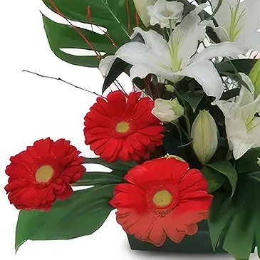 Rota flowers  -  Radiant Gerbera Grove Flower Bouquet/Arrangement
