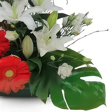 Rota flowers  -  Radiant Gerbera Grove Flower Bouquet/Arrangement