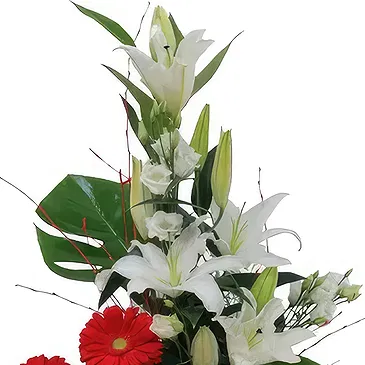 Rota flowers  -  Radiant Gerbera Grove Flower Bouquet/Arrangement