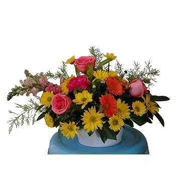 Port St Charles flowers  -  Birthday Bloom  Flower Bouquet/Arrangement
