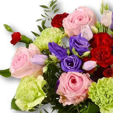 Holland flowers  -  Birthday Bouquet Flower Bouquet/Arrangement