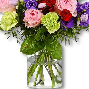 Holland flowers  -  Birthday Bouquet Flower Bouquet/Arrangement
