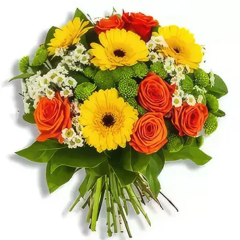 Bemaitso (Bemaitso) blomster- Sommertid Blomst Levering