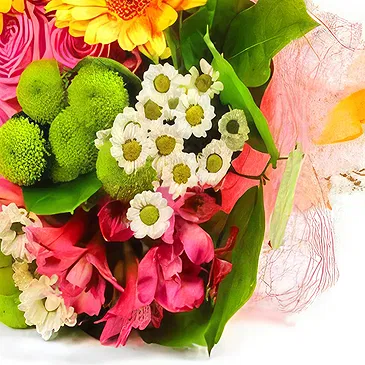 Smederevska Palanka flowers  -  Colorful Harmony Flower Bouquet/Arrangement