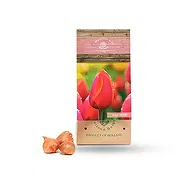 Tarut Online Blumenhändler - AD Rem Blumenstrauß