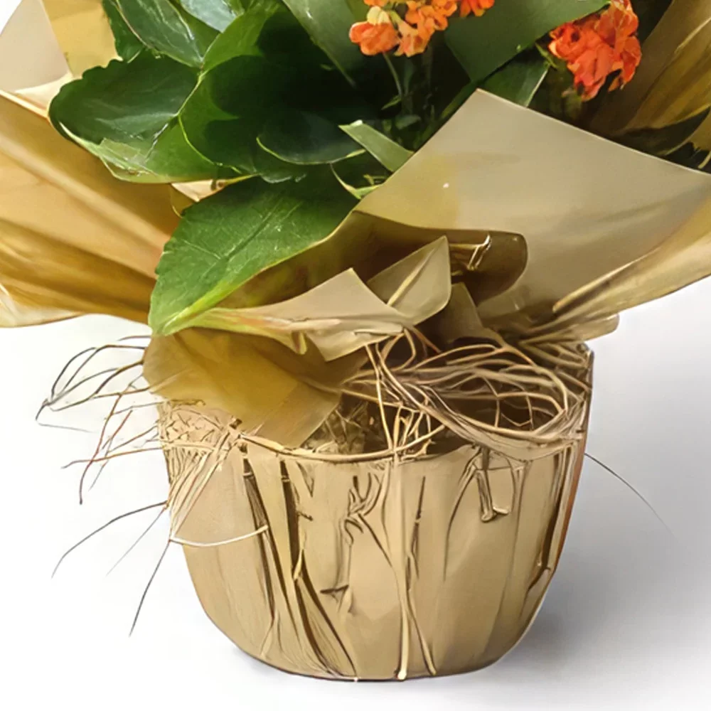 بائع زهور بيليم- زهرة أورانج فورتشن باقة الزهور