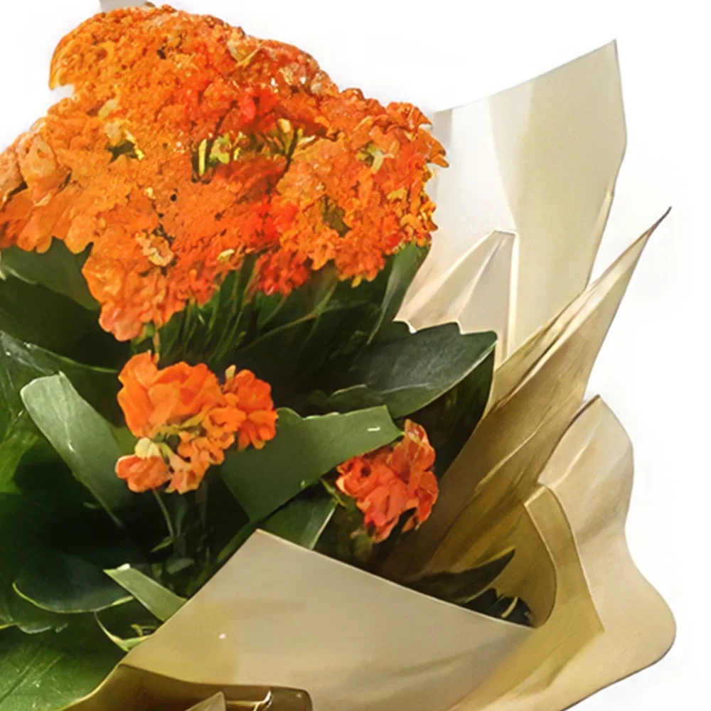 Brasília Blumen Florist- Orange Fortune Blume Bouquet/Blumenschmuck