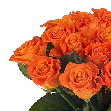 Italy flowers  -  Bunch of orange roses Flower Bouquet/Arrangement