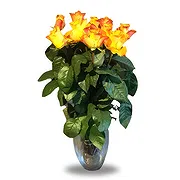 Belgium online Florist - Vibrant  Arrangement Bouquet
