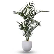 Queensborough / Tunbridge online Florist - Palm Bouquet