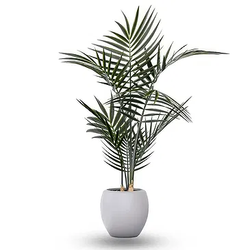 Al Shamkha flowers  -  Palm Flower Bouquet/Arrangement