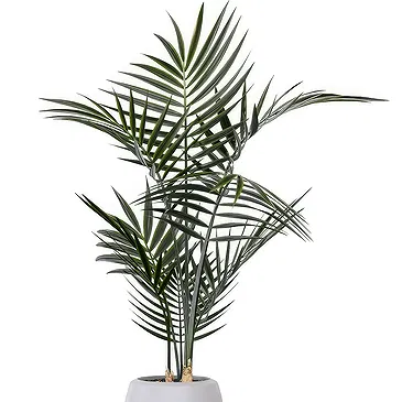 Al Shamkha flowers  -  Palm Flower Bouquet/Arrangement