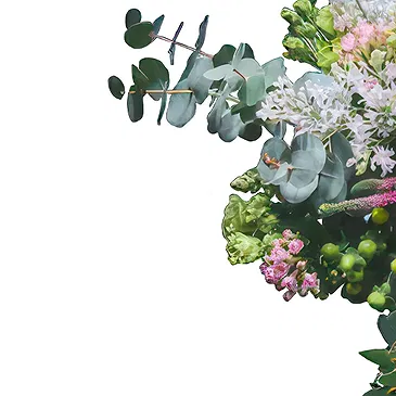 Denmark flowers  -  Soft Touch  Flower Bouquet/Arrangement
