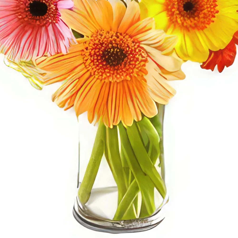 Ριέκα λουλούδια- Ημέρα όνειρο Μπουκέτο/ρύθμιση λουλουδιών