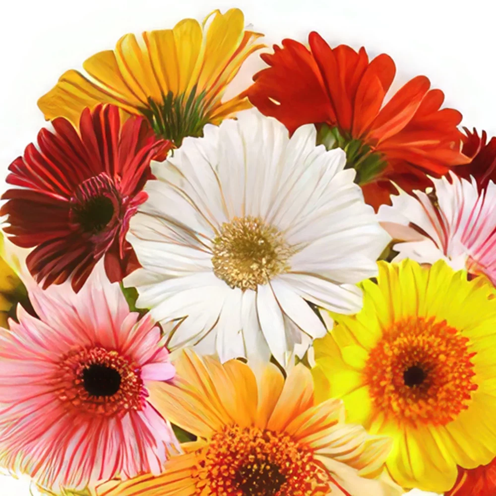 Bologna kvety- Deň sen Aranžovanie kytice