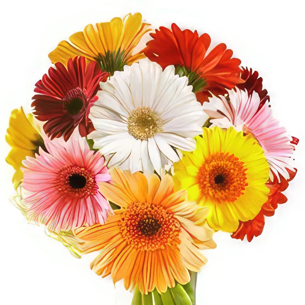 بائع زهور كيزانوفا- حلم اليوم باقة الزهور