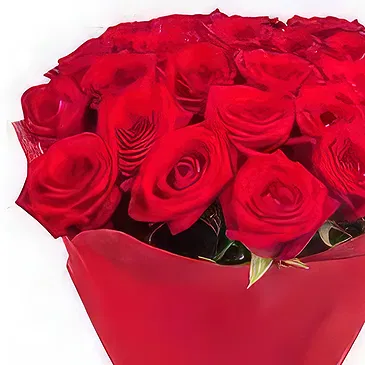Prokuplje flowers  -  A Bouquet of Roses Flower Bouquet/Arrangement