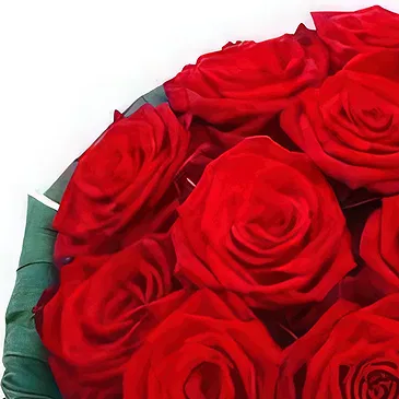 Smederevska Palanka flowers  -  Endless Romance Flower Bouquet/Arrangement