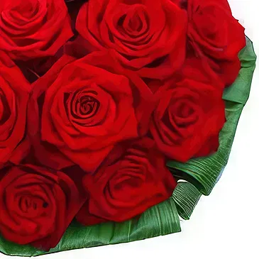 Smederevska Palanka flowers  -  Endless Romance Flower Bouquet/Arrangement