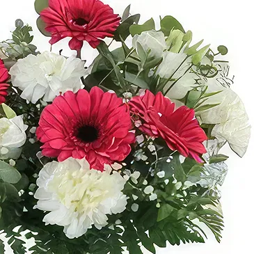 Ibiza flowers  -  Red & White Petals Flower Bouquet/Arrangement