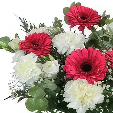 Ibiza flowers  -  Red & White Petals Flower Bouquet/Arrangement
